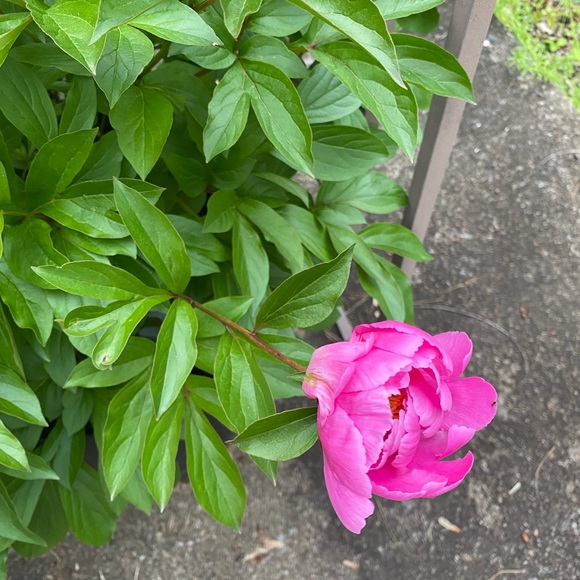 My Closet QR Code - Picture 12 of 15